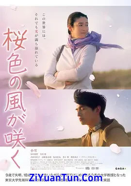 风临樱花开
