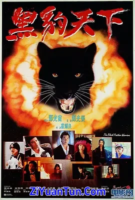 黑豹天下