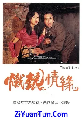 炽热情缘