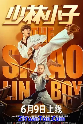 少林小子