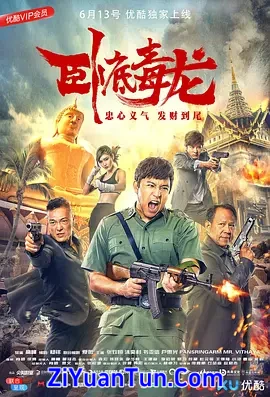 卧底毒龙