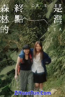 森林的终点是海