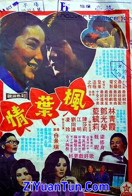 枫叶情