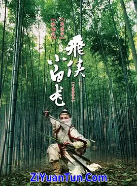 飞侠小白龙