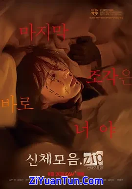 身体集合.zip