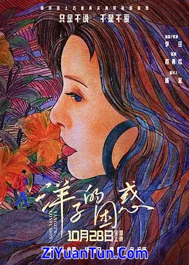 洋子的困惑