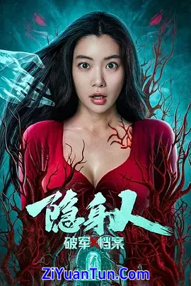 破军X档案隐身人