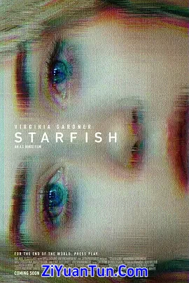 海星