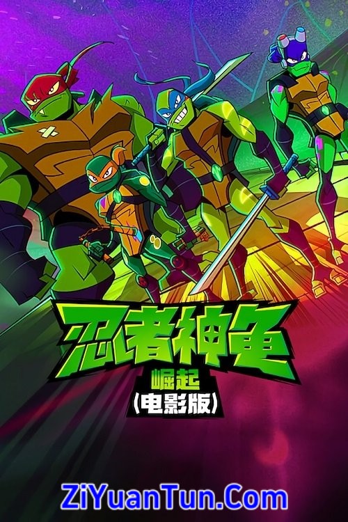 忍者神龟：崛起