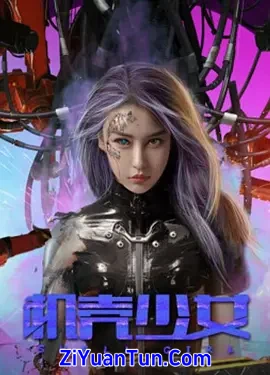 机壳少女
