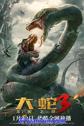 大蛇3：龙蛇之战