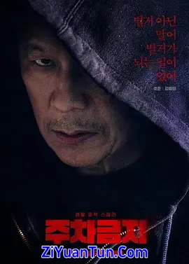 禁止停车
