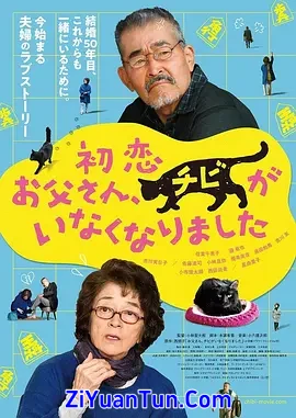 只有猫知道