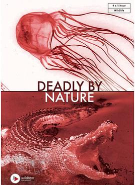 大自然的致命猎手