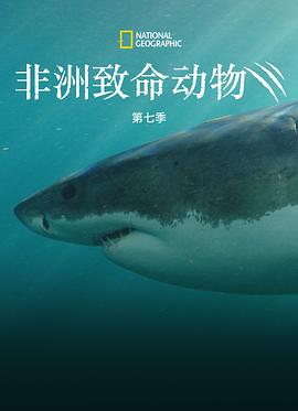 非洲致命动物