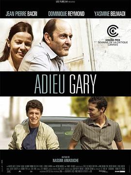 再见加莱古柏