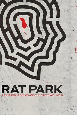 Rat