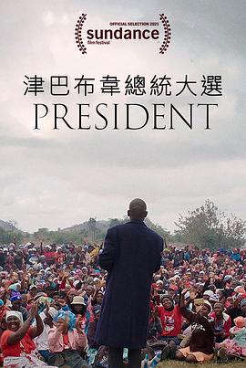 总统