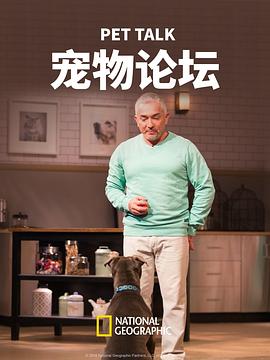 宠物论坛