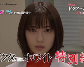 白夜医生