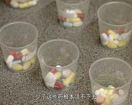 省钱健康吃