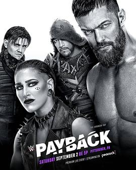 WWE：有仇必报