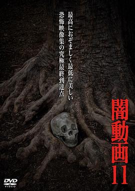 黑暗视频11