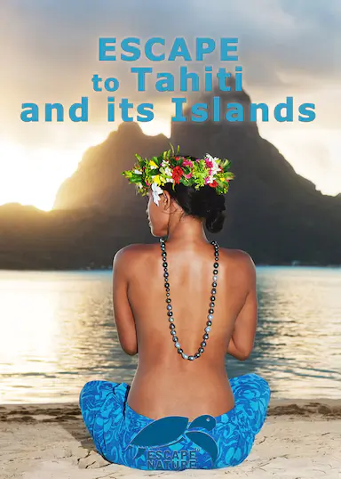 Escape to Tahiti and Her Islands