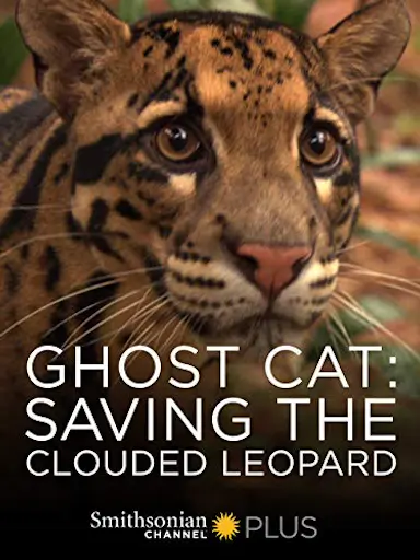Ghost Cat: Saving the Clouded Leopard