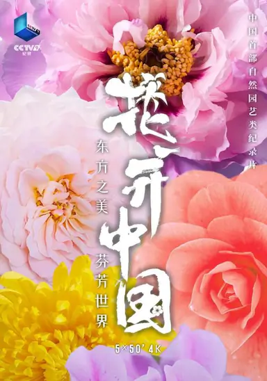 花开中国