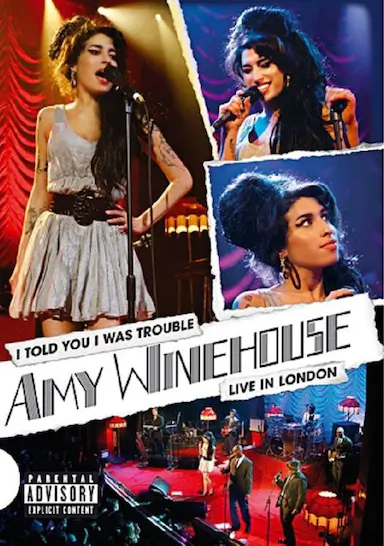 Amy Winehouse: I Told You I Was Trouble